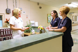 Our Staff